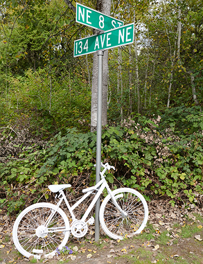 White "ghost bike" in front of the NE 8 St / 134 Ave NE street sign